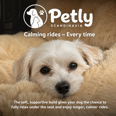 Petly Auto-Seat