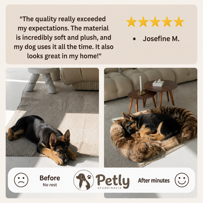 Petly Dream Bed