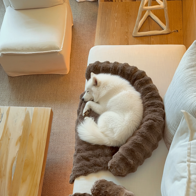 Hundly Sofa Bed