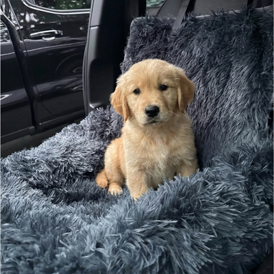 Hundly Auto-Seat