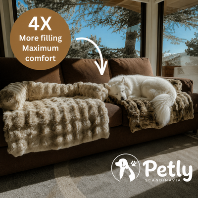 Petly Sofa Bed