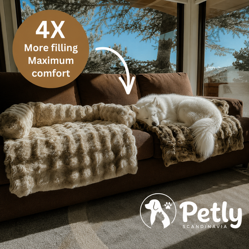 Petly Sofa Bed