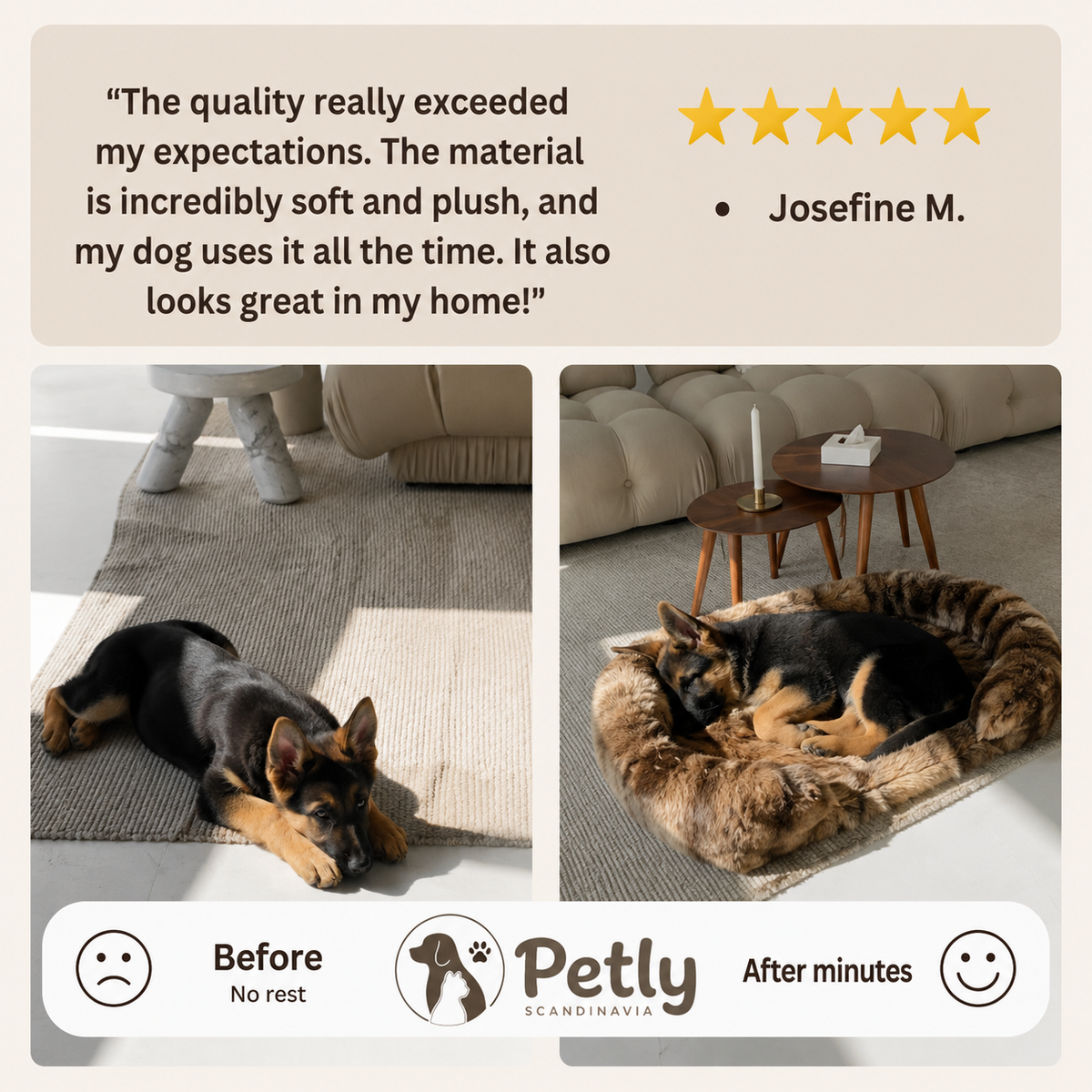 Petly Dream Bed