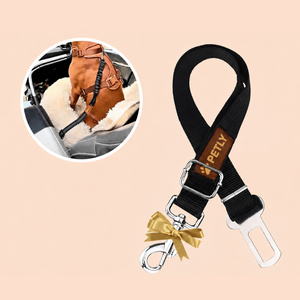Petly Safety Seat Belt