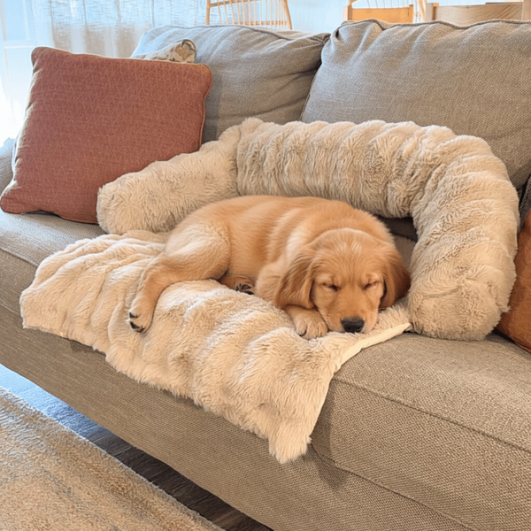 Hundly Sofa Bed