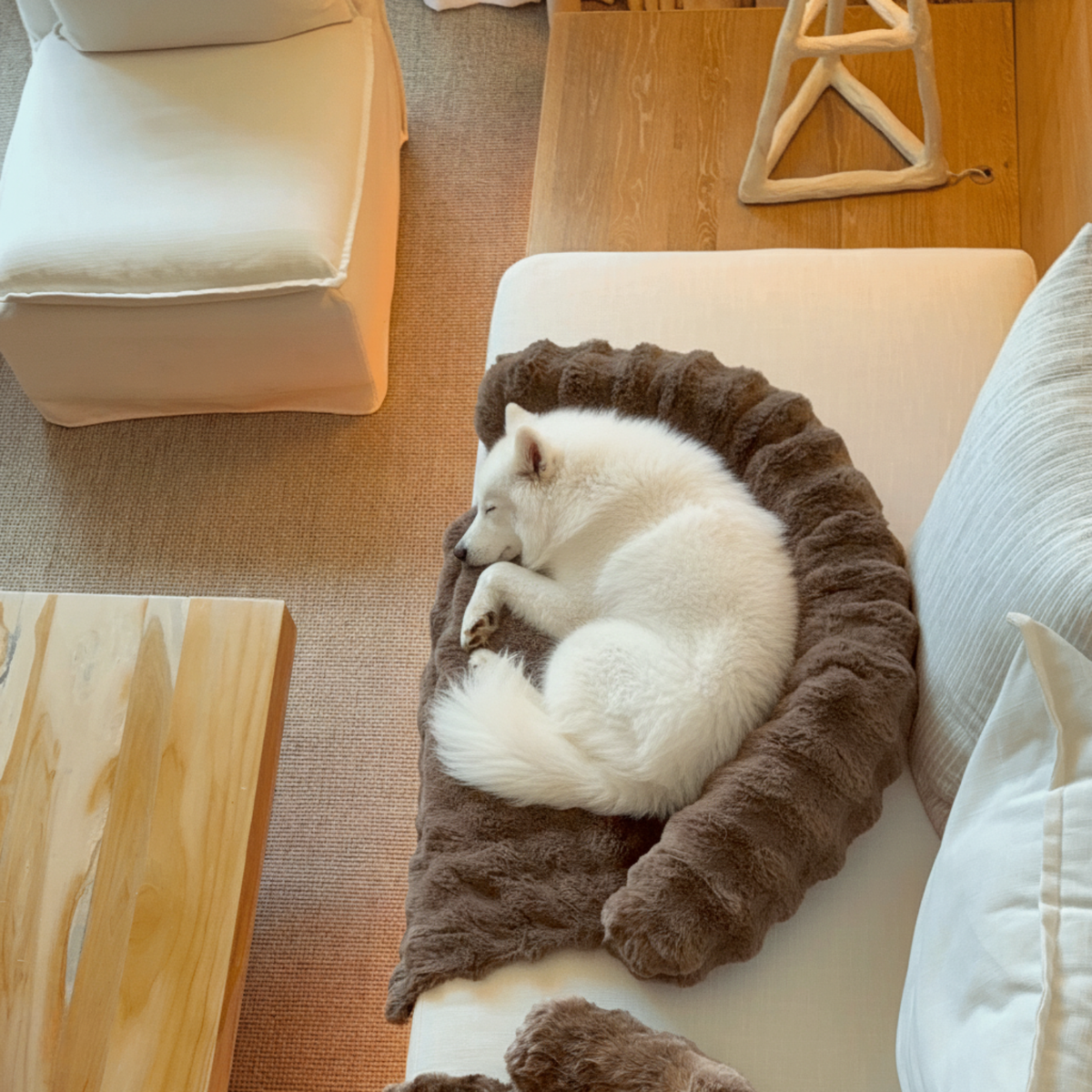 Hundly Sofa Bed