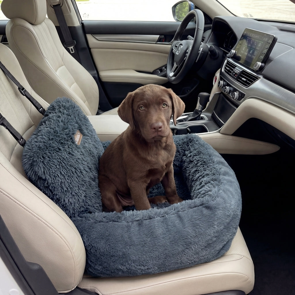 Hundly Auto-Seat