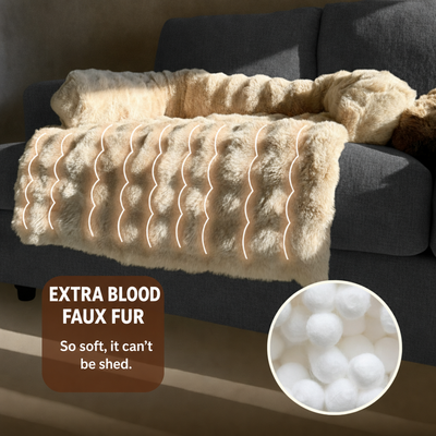 Petly Sofa Bed