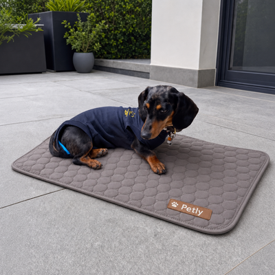 Cooling Mat 1 + 1 FREE