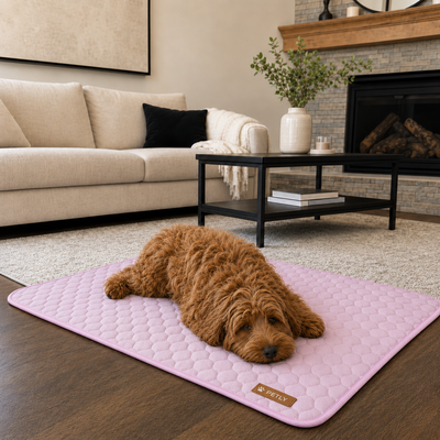 Cooling Mat 1 + 1 FREE