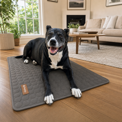 Cooling Mat 1 + 1 FREE