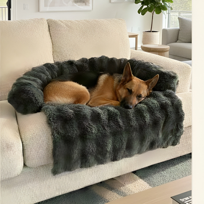 Hundly Sofa Bed