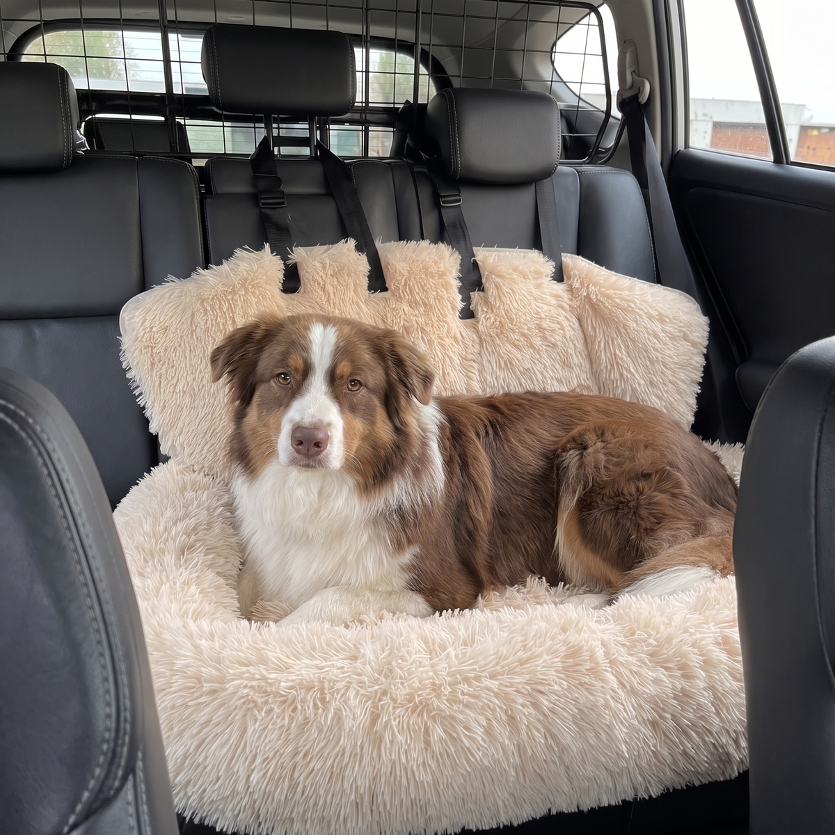Petly Auto-Seat